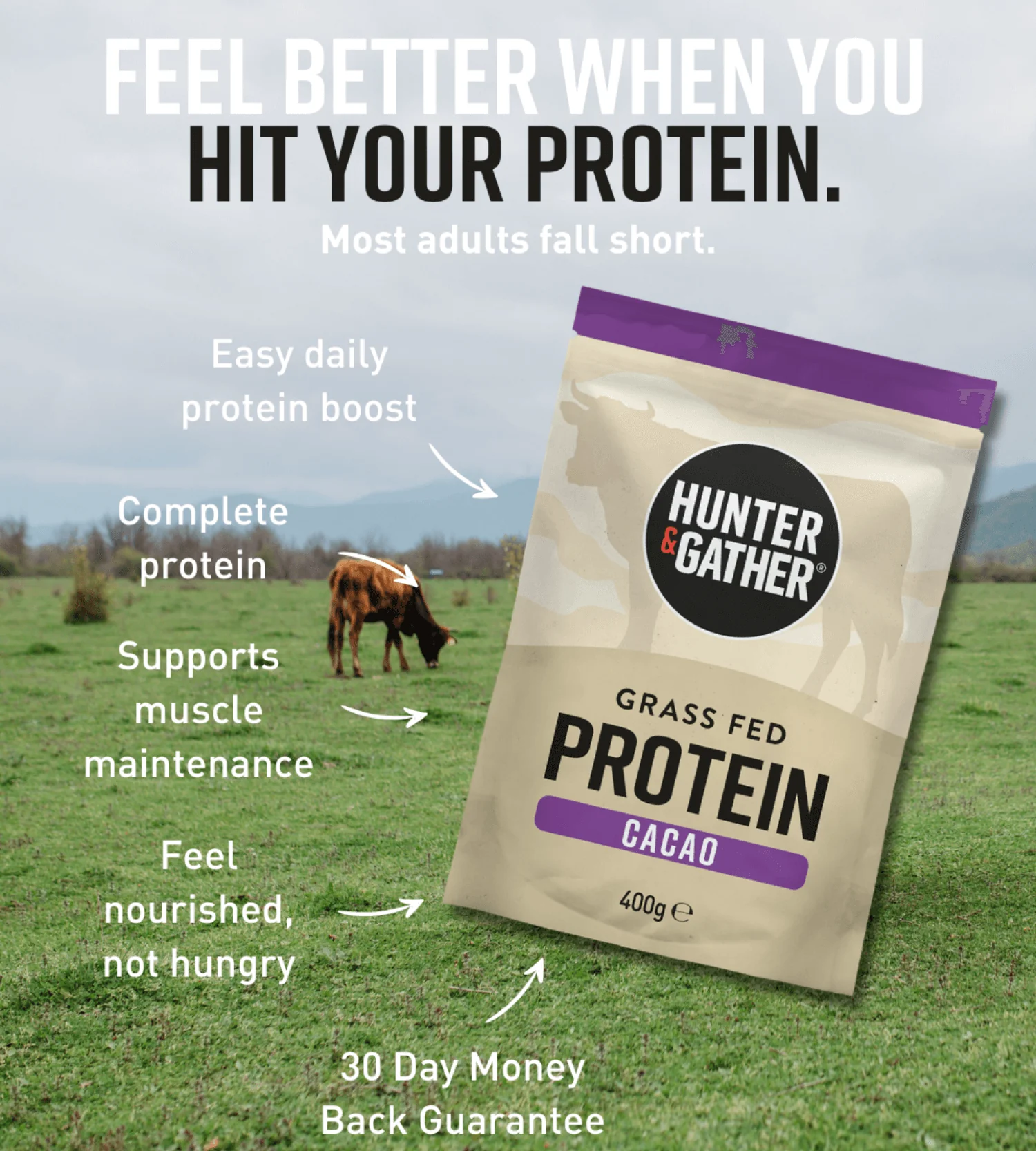 Cacao Grass Fed Beef Protein Powder - Image 4