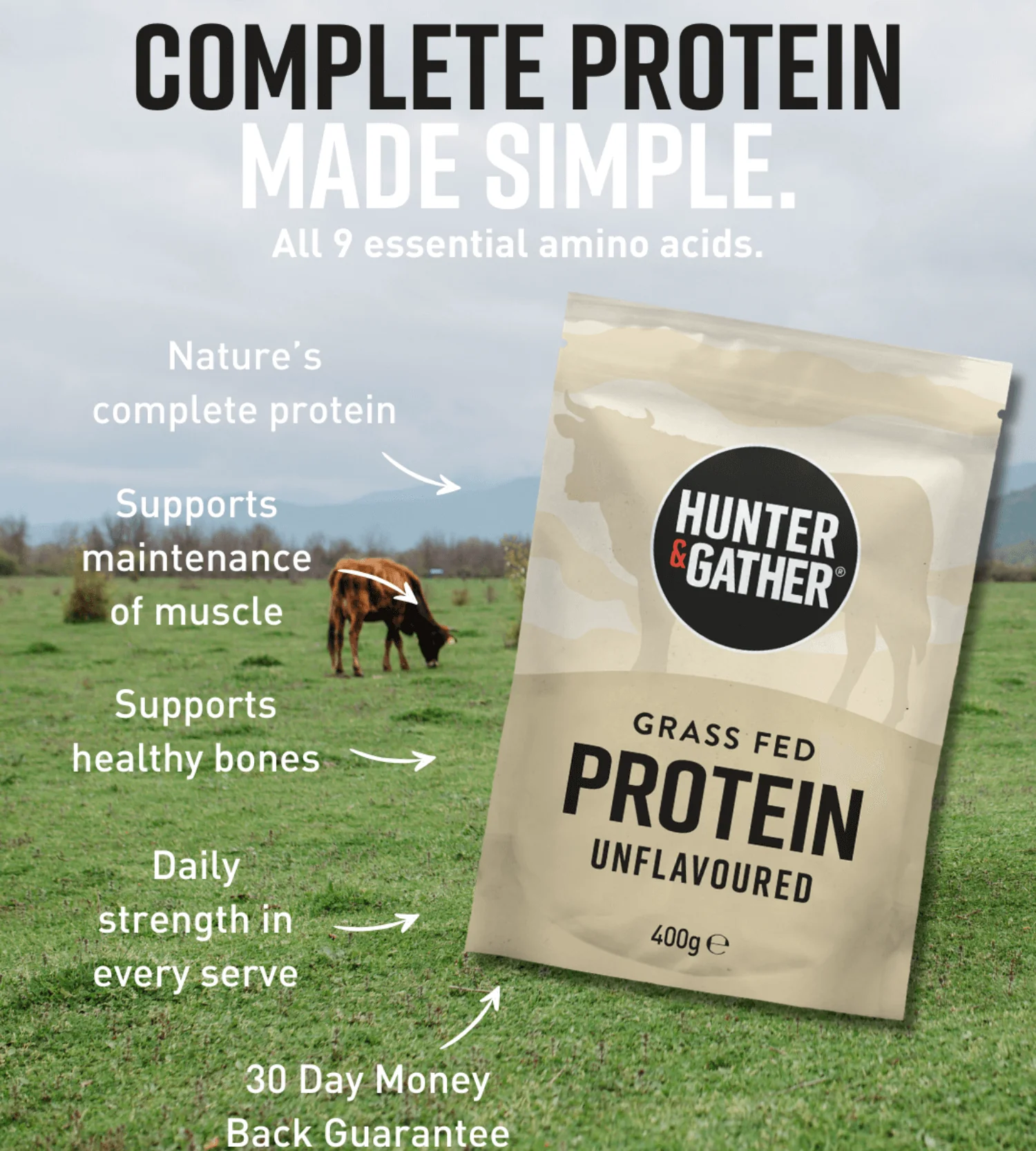 Grass Fed Beef Protein Powder - Image 15