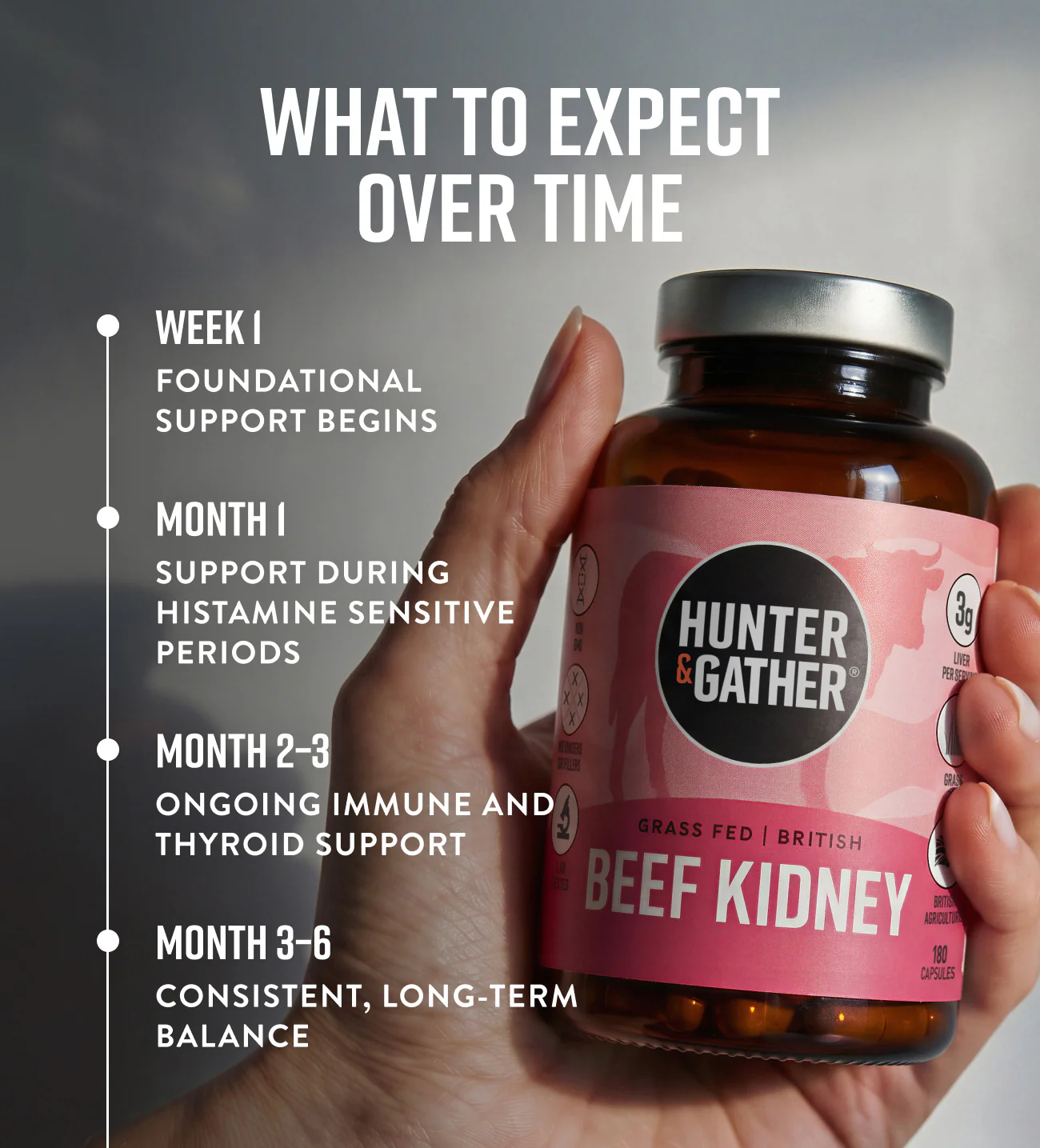 Grass Fed British Beef Kidney Capsules - Image 3