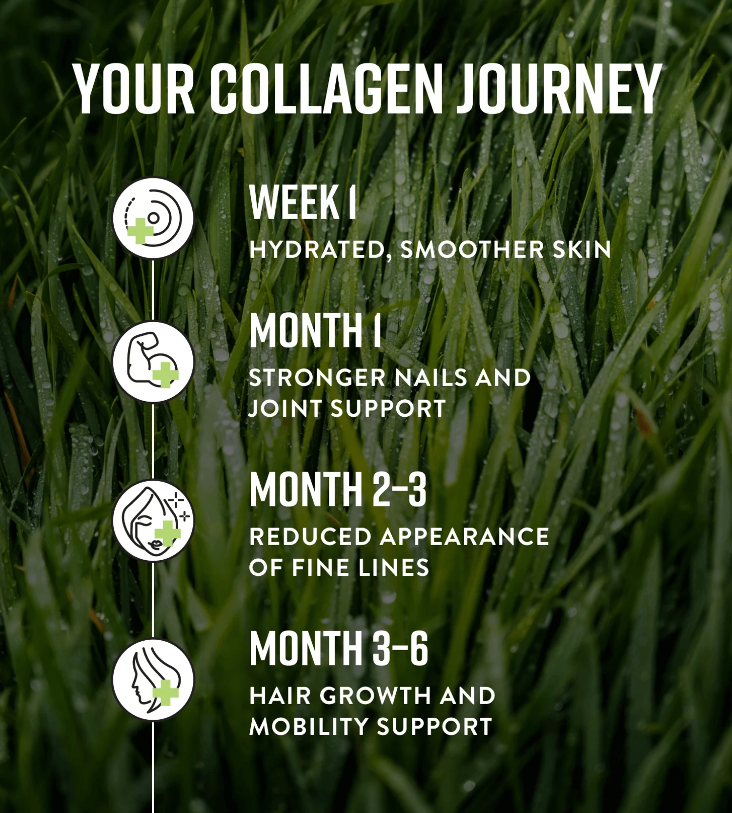 Collagen Powder - Image 20