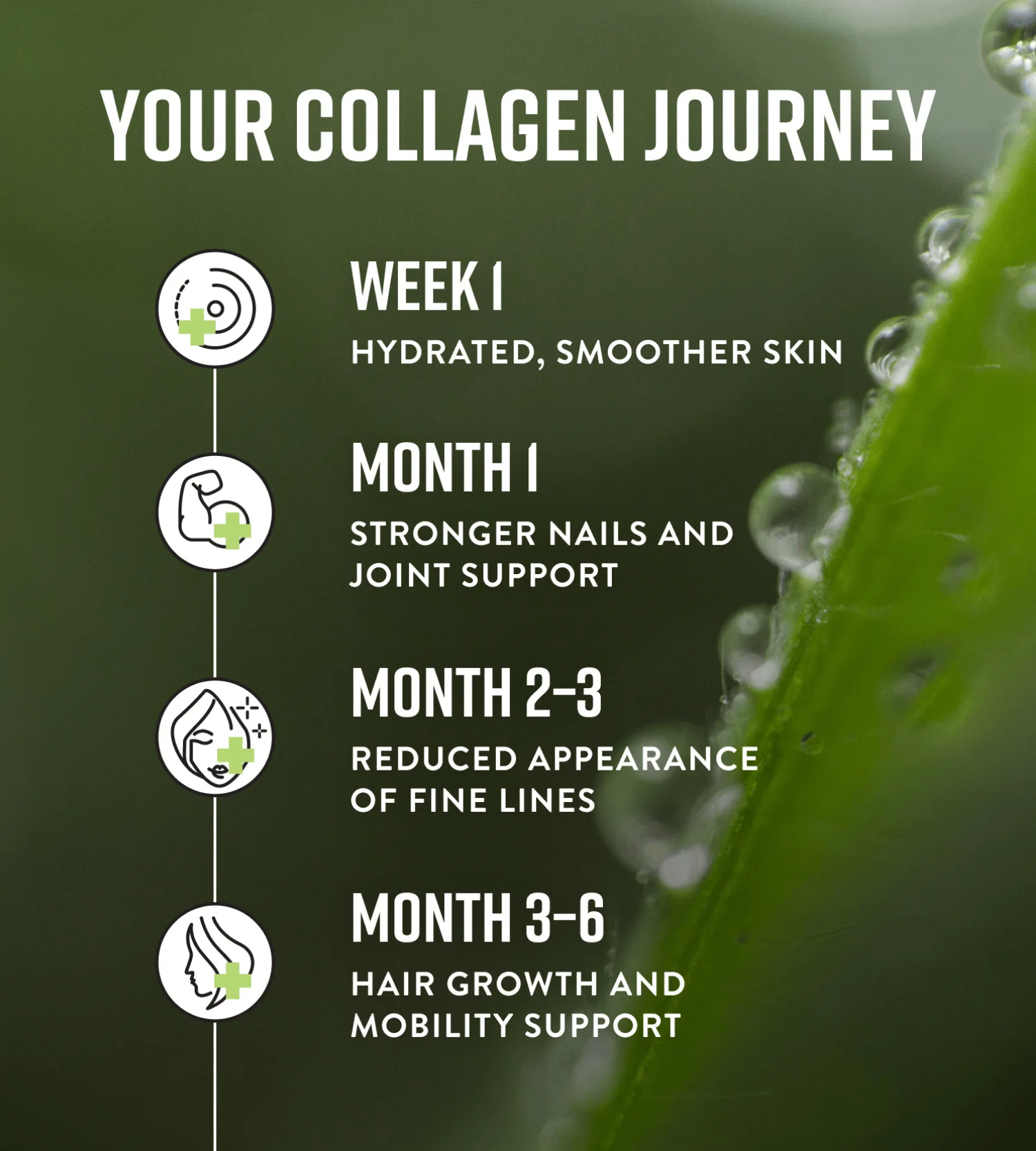Collagen Powder - Image 5