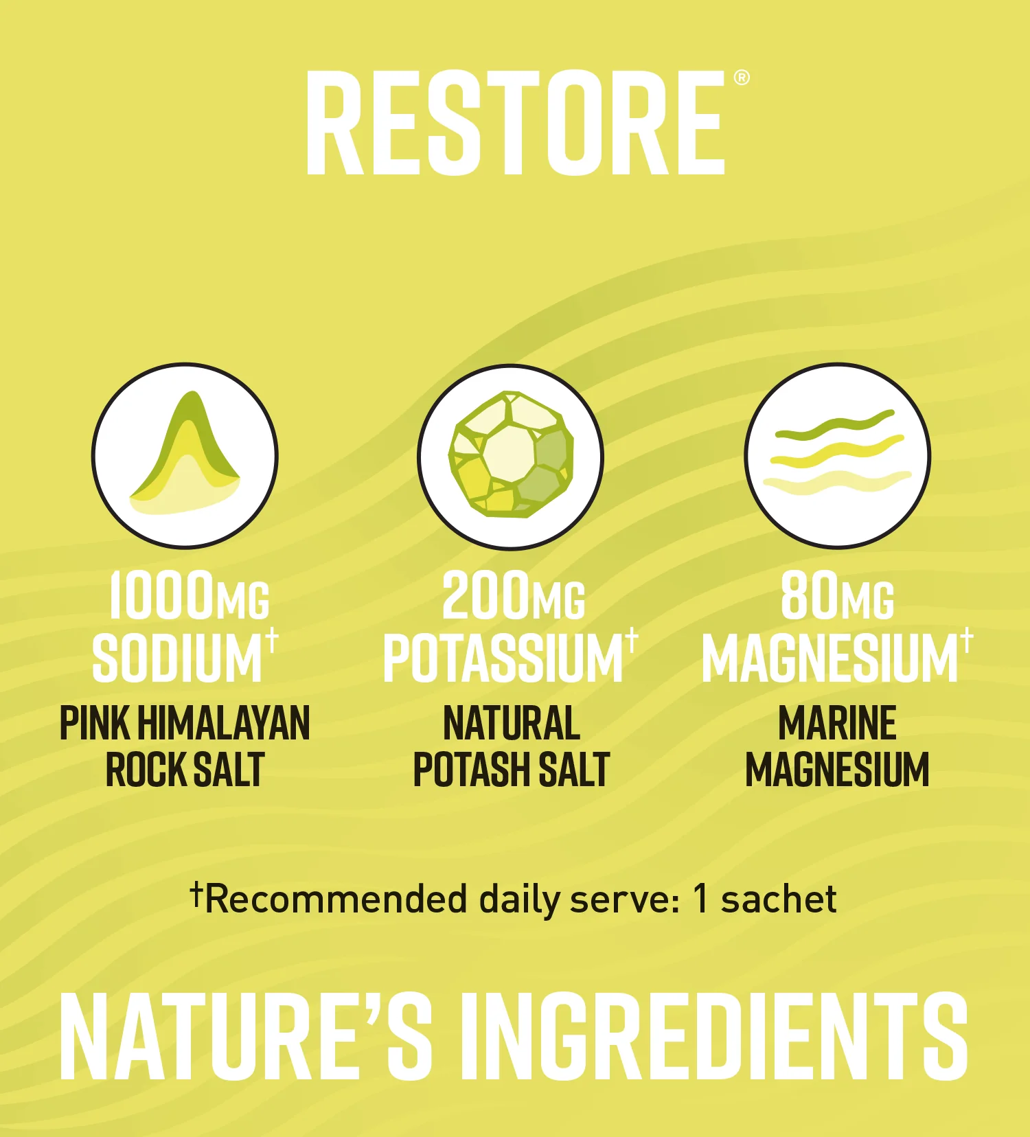 Legacy Lemon & Lime Restore All Natural Daily Electrolytes - Image 7