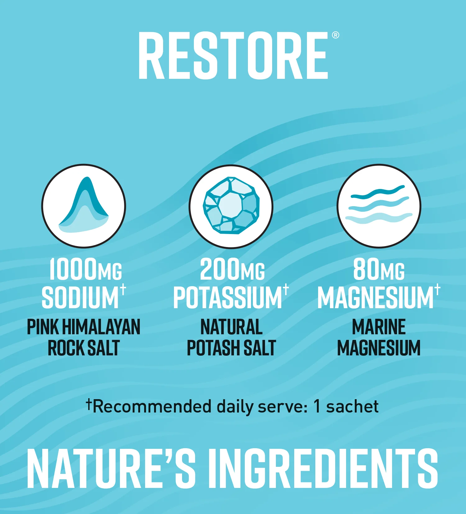 Legacy Restore All Natural Daily Electrolytes Multipack - Image 10